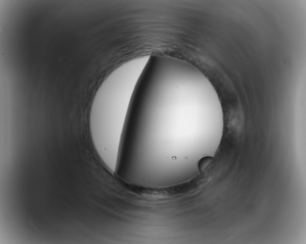 X0000088870559200706080723