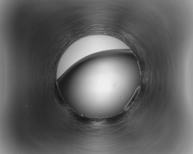 X0000088870560200706080723