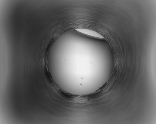 X0000088870568200706080723