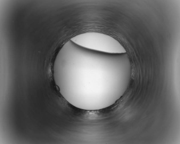 X0000088870573200706080723