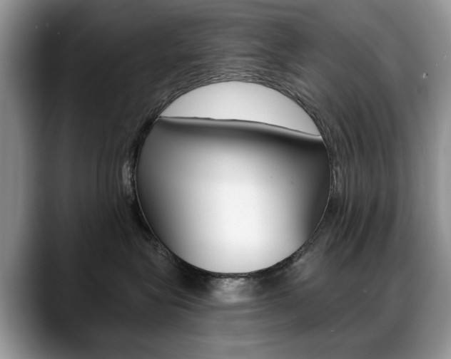X0000088870575200706080723