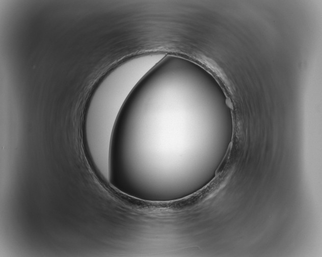 X0000088870577200706080723