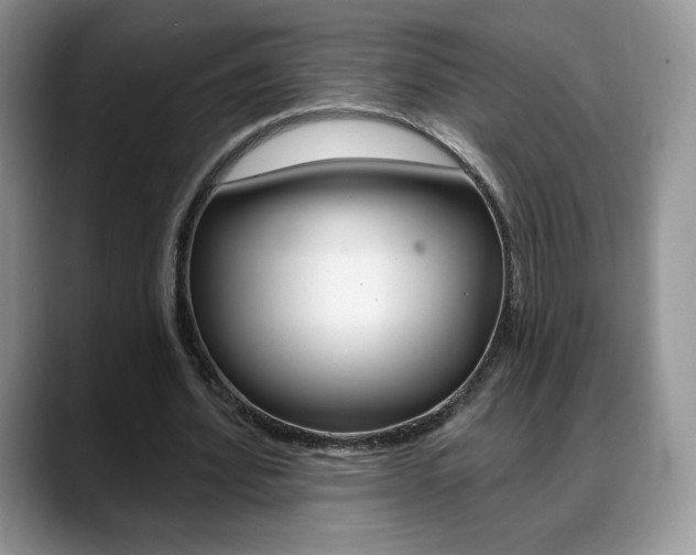 X0000088870580200706080723