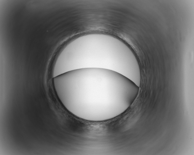 X0000088870583200706080723