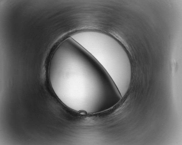 X0000088870584200706080723