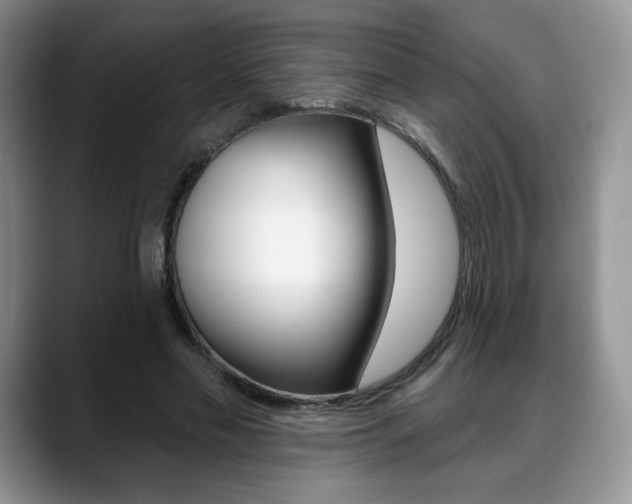 X0000088870589200706080722