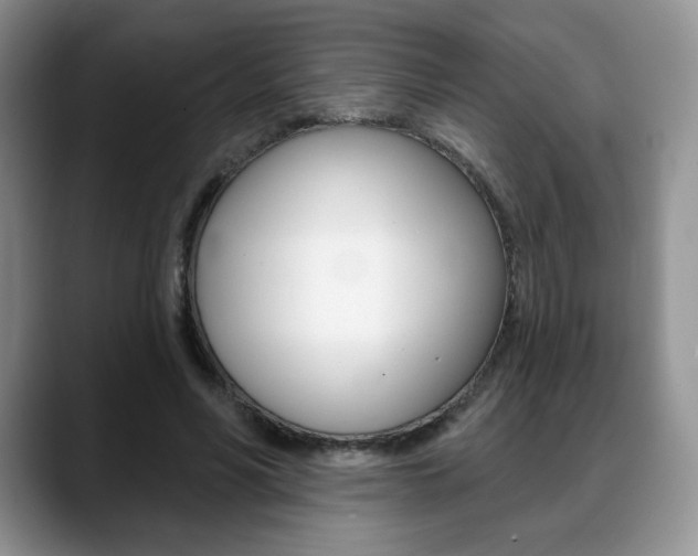 X0000088870590200706080722
