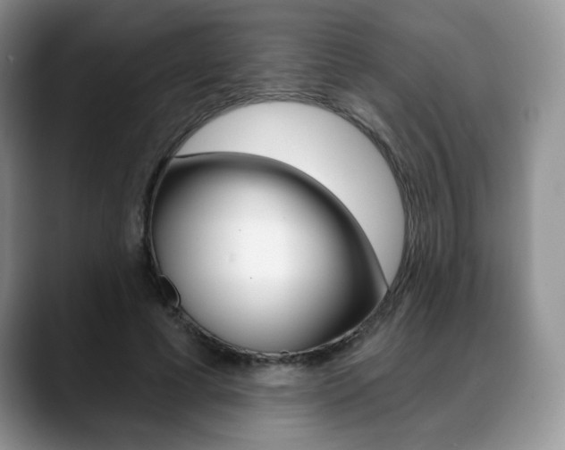 X0000088870593200706080722