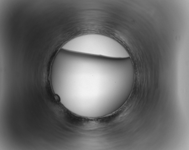 X0000088870594200706080722