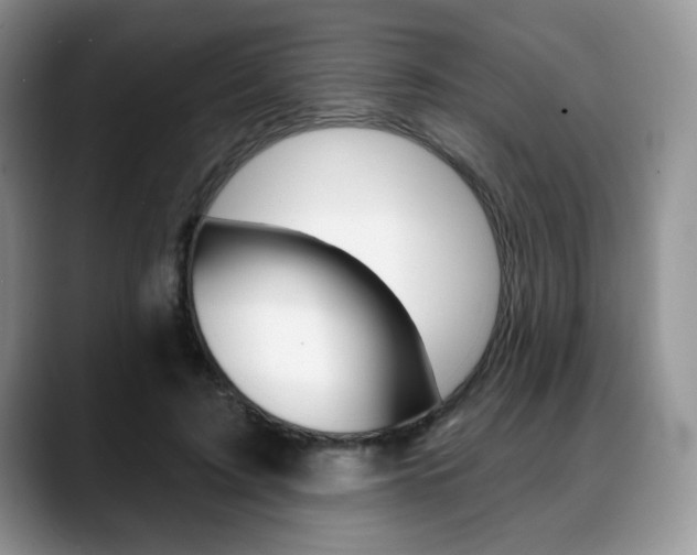 X0000088870595200706080722