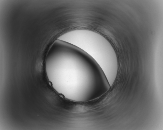 X0000088870596200706080722