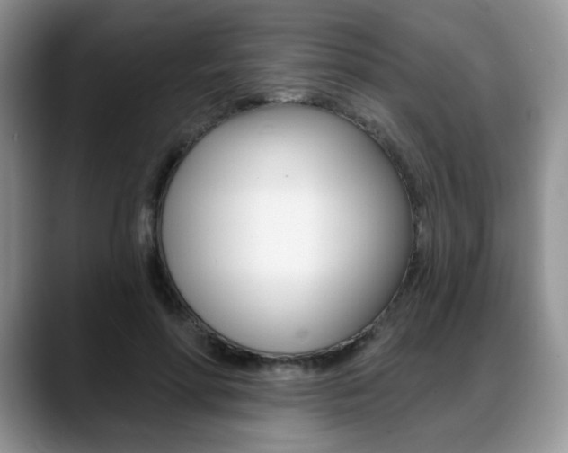 X0000088870598200706080722