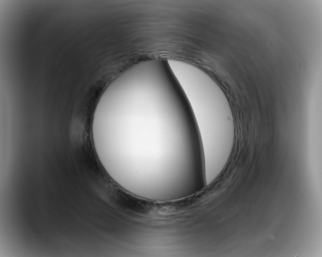 X0000088870599200706080722