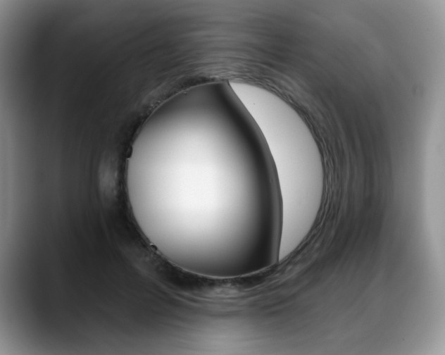 X0000088870600200706080722