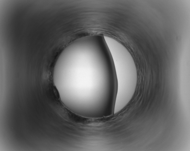 X0000088870601200706080722