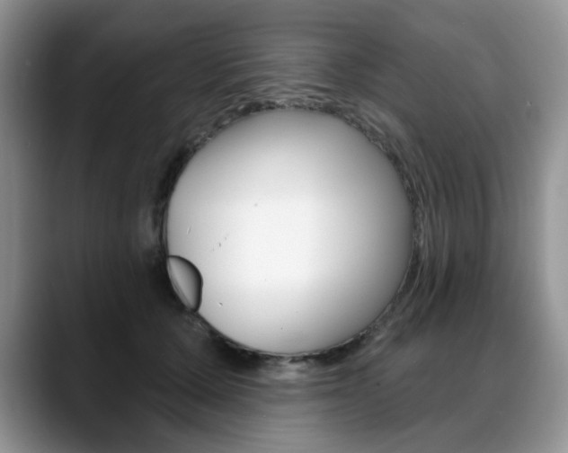 X0000088870607200706080722