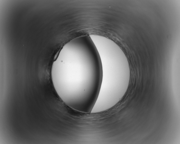 X0000088870613200706080722