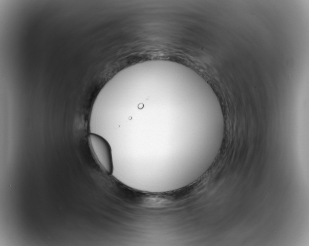 X0000088870614200706080722