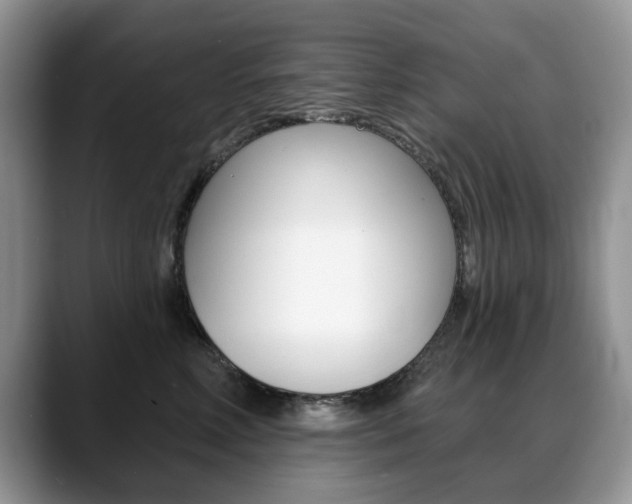 X0000088870618200706080722