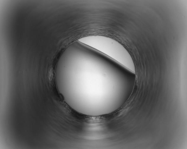X0000088870623200706080722