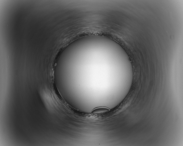 X0000088870624200706080722