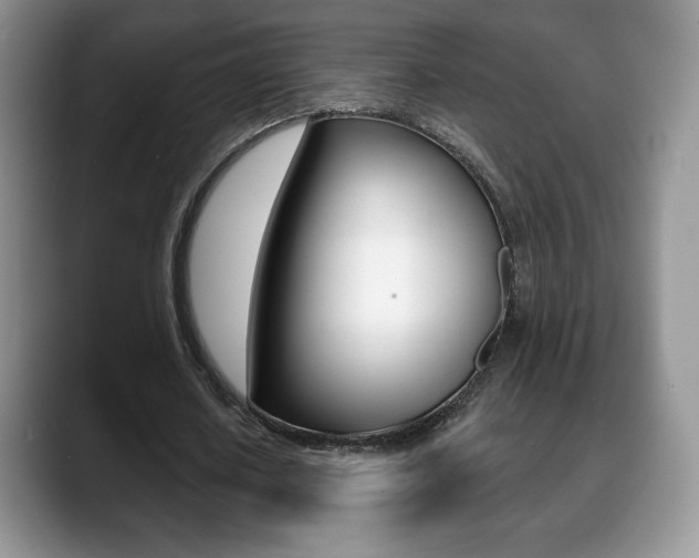 X0000088870626200706080721