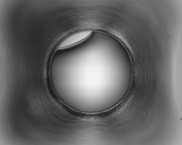 X0000088870629200706080721