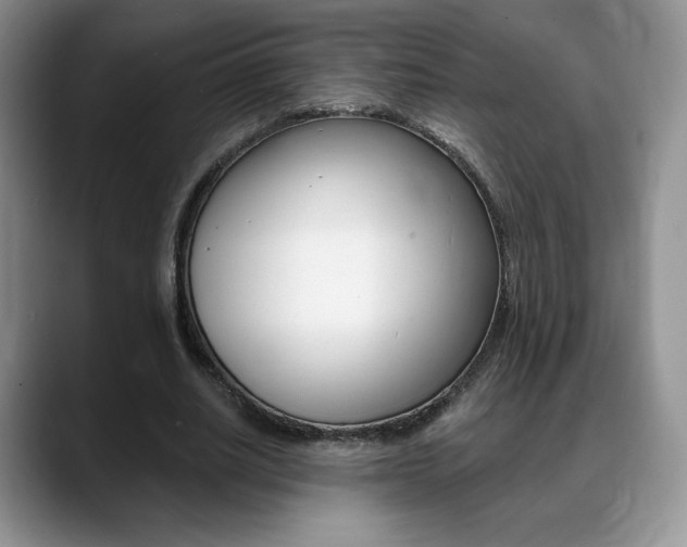 X0000088870630200706080721