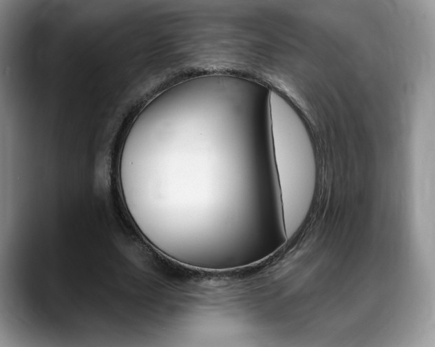 X0000088870631200706080721