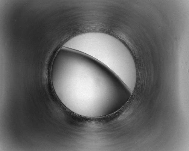 X0000088870634200706080721
