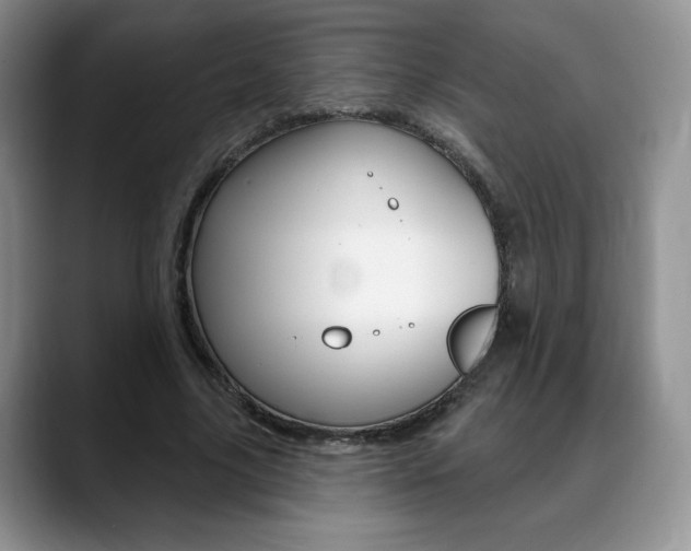 X0000088870635200706080721