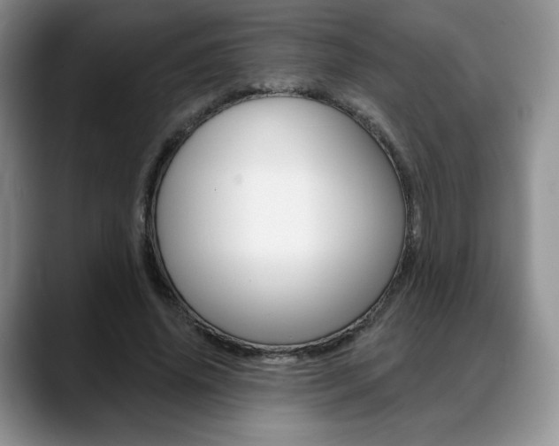 X0000088870636200706080722