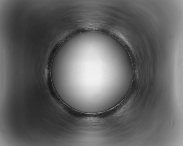 X0000088870637200706080722