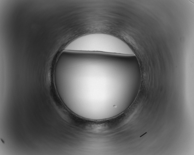 X0000088870638200706080722