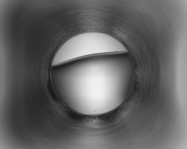 X0000088870642200706080722
