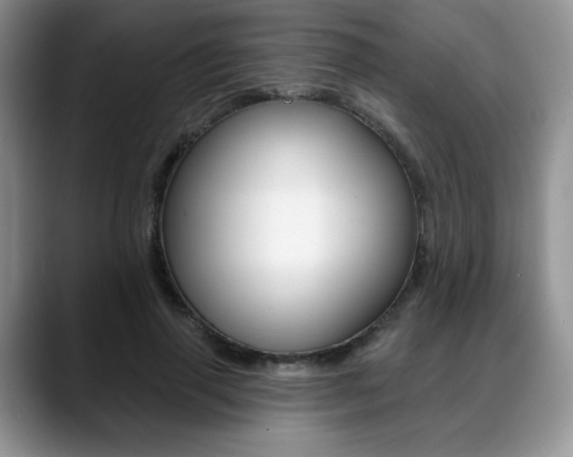 X0000088870645200706080722