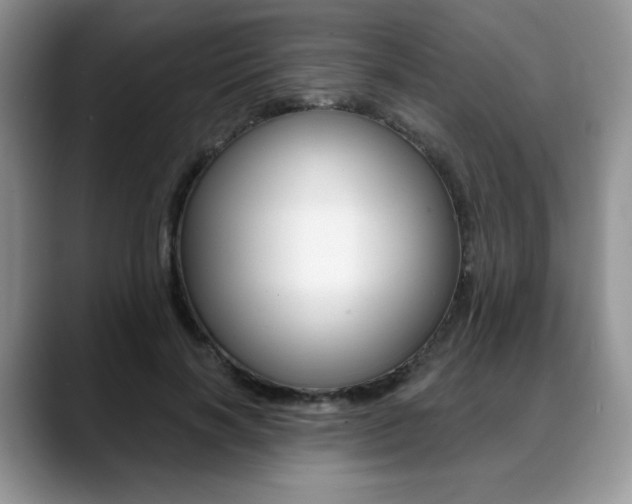 X0000088870646200706080722