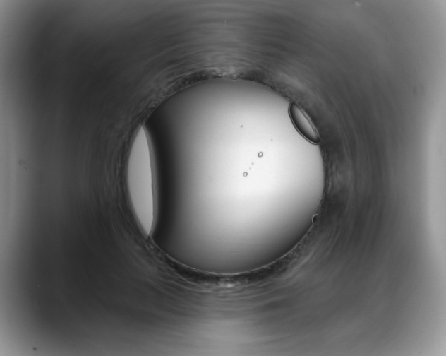 X0000088870647200706080722