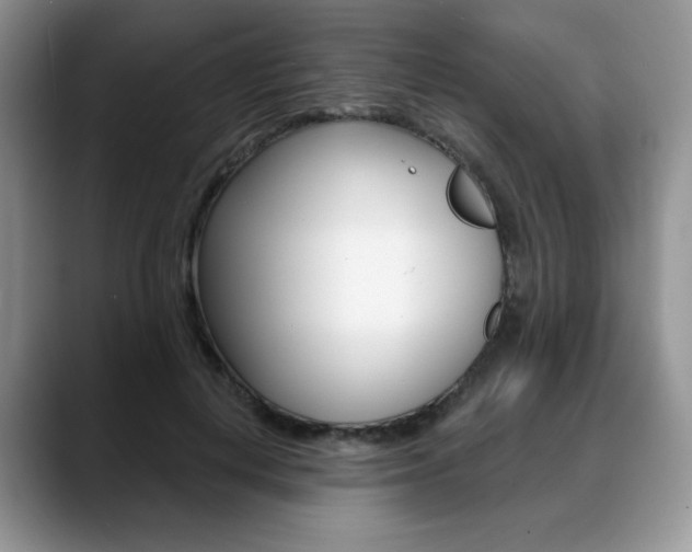 X0000088870648200706080722