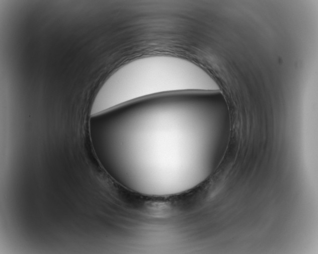 X0000088870649200706080722
