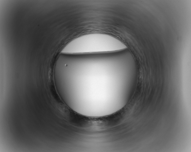 X0000088870650200706080722