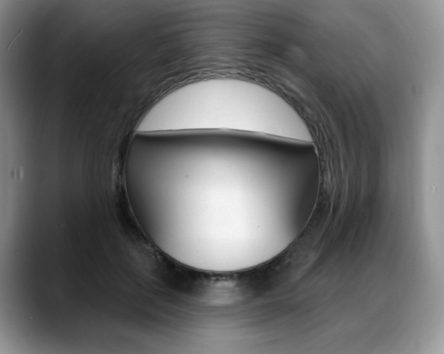 X0000088870651200706080722
