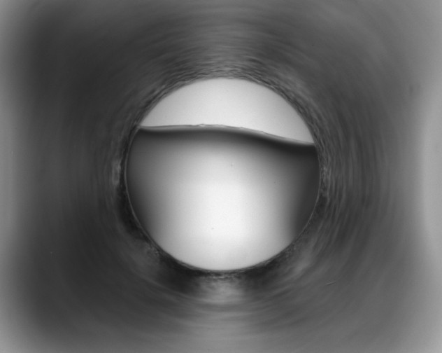 X0000088870652200706080722