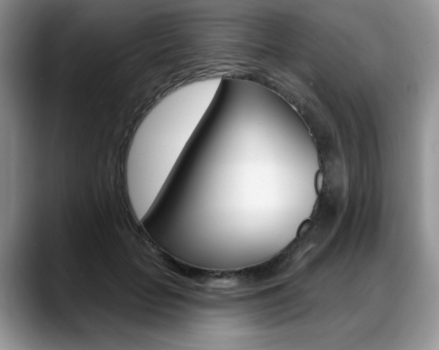 X0000088870653200706080722