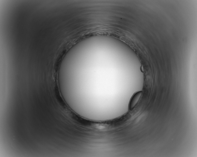 X0000088870654200706080722