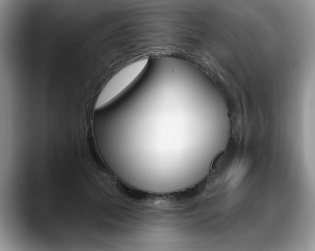 X0000088870655200706080722