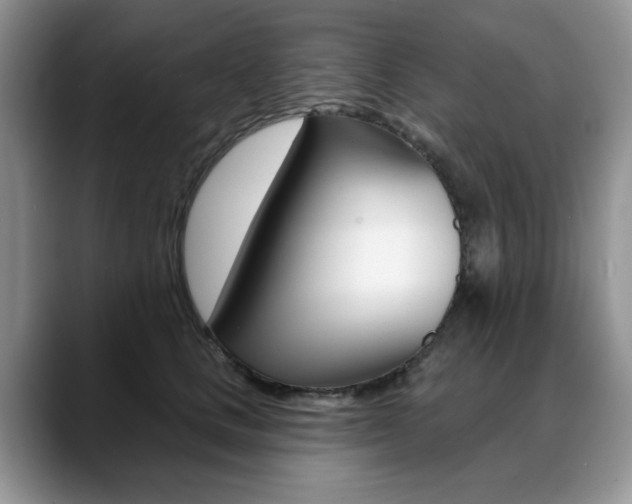 X0000088870661200706080722