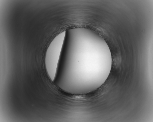 X0000088870662200706080722