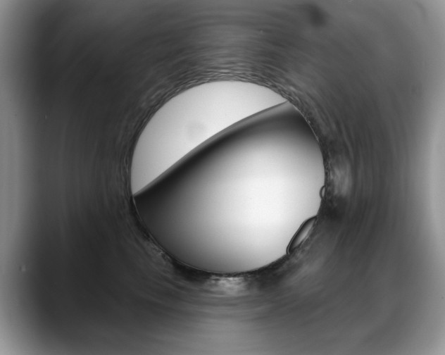 X0000088870665200706080722