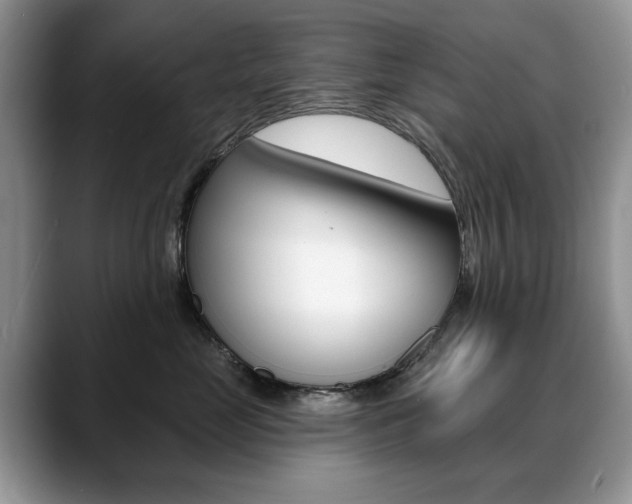 X0000088870669200706080722